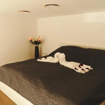 Apartament Royal Opletalova *