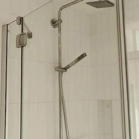 Apartment Royal Opletalova