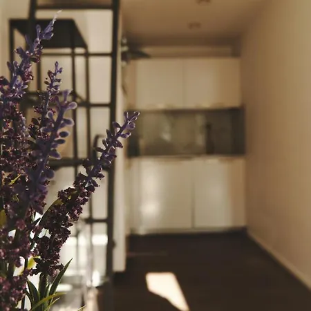 Apartament Royal Opletalova Praga