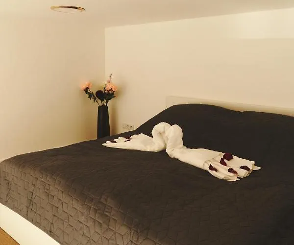 Apartament Royal Opletalova *